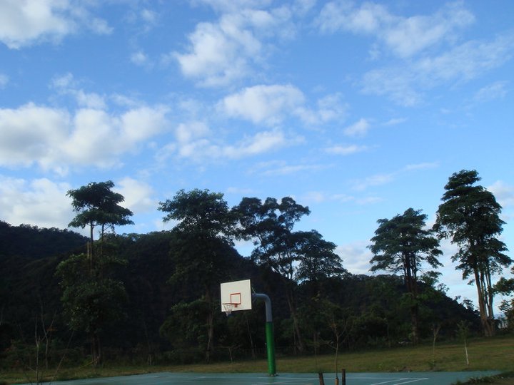 281507_1722610003730_4732004_n.jpg