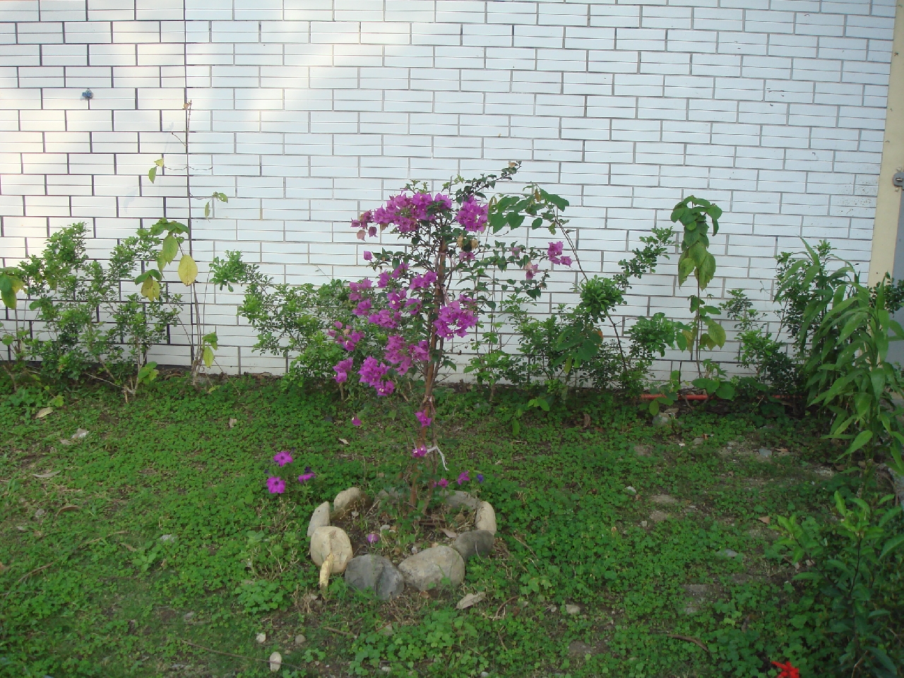 DSC04334.JPG