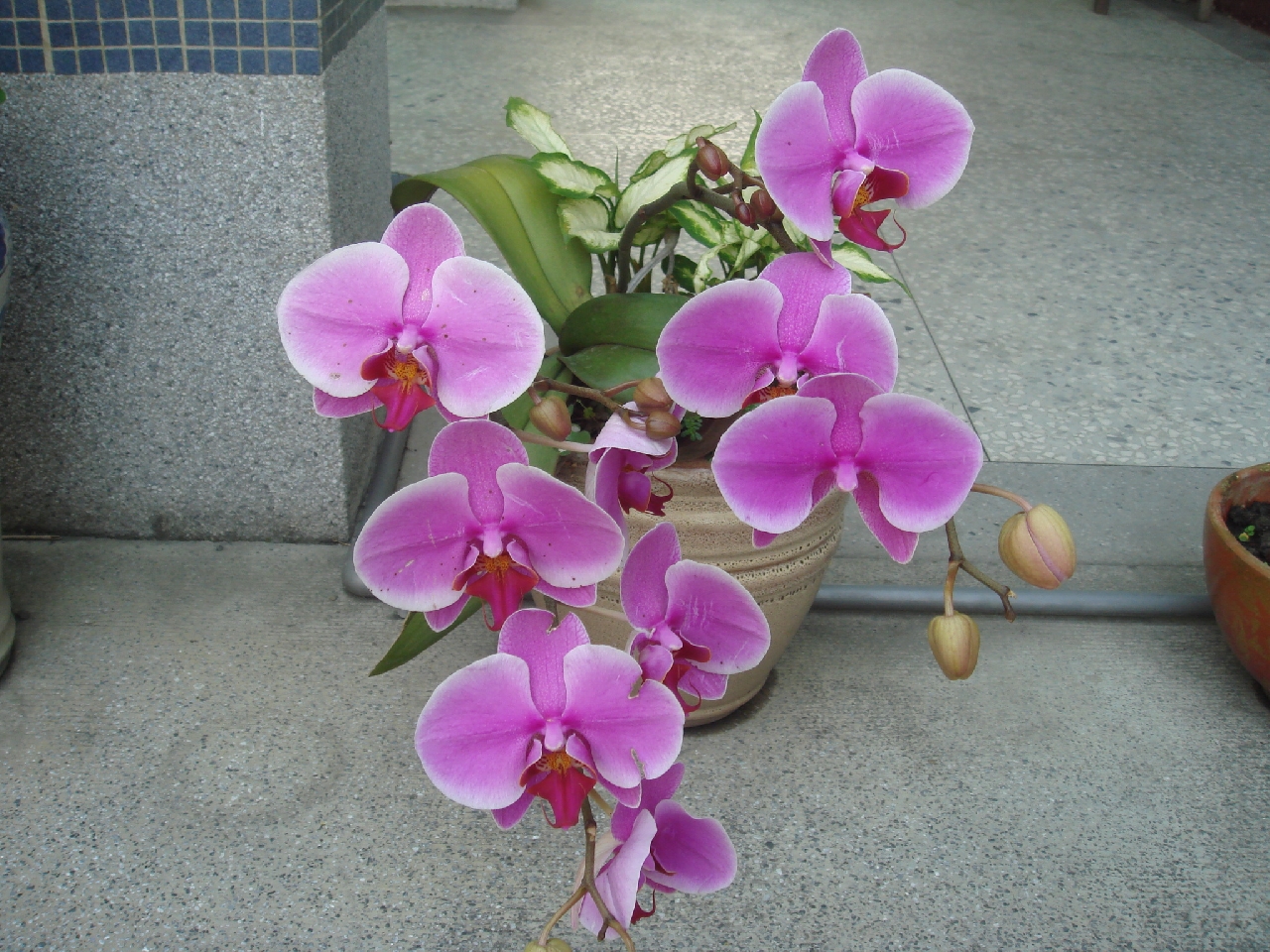 DSC04378.JPG